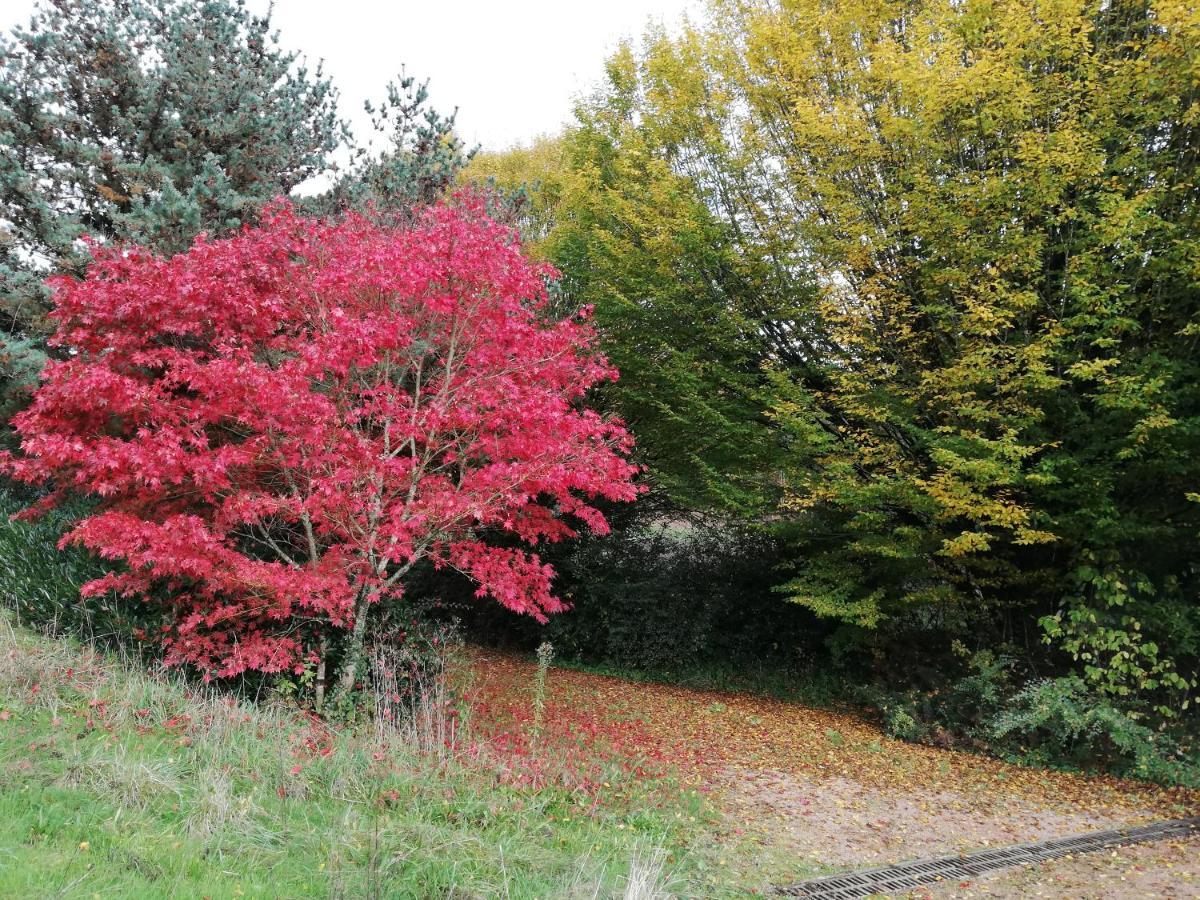 Le Gite Du Parc La Coquille Exterior foto